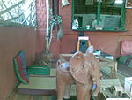 sweet-cafe-in-pondy-04012007-001-.jpg.jpg
Views:	23
Size:	69.6 KB
ID:	6375