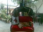 sweet-cafe-in-pondy-08032007-001-.jpg.jpg
Views:	58
Size:	69.1 KB
ID:	6377
