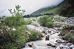 valley-of-flowers-and-hemkund-sahib-f1070025.jpg