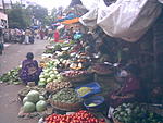 the-rush-in-the-wrong-place-vegetable.jpg
