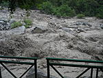 valley-of-flowers-and-hemkund-sahib-dsc05161.jpg
