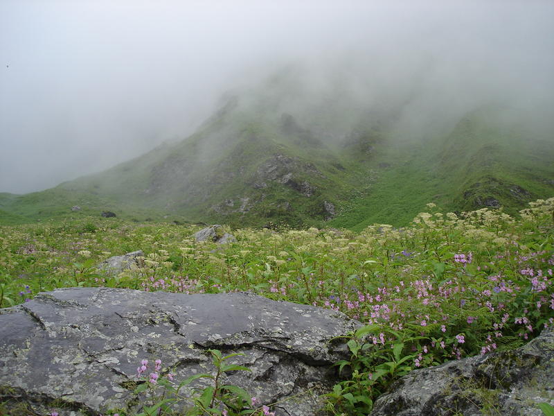 DSC05233.jpg