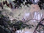 bharatpur-keoladeo-park-and-wider-up-itinerary-bharatpur-snake-bird.jpg