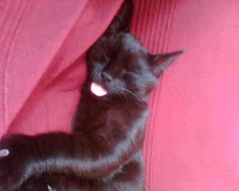 Image003.jpg