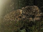 where-best-to-see-sikkimese-plants-and-animals-img_0858.jpg