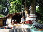 hampi-birthday-to-me-mangoswing2.jpg