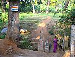 hampi-birthday-to-me-mangotreesign.jpg