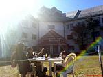 peach-blossom-fagu-or-hotel-pacific-kufri-fago18.jpg