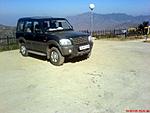 peach-blossom-fagu-or-hotel-pacific-kufri-fago22.jpg