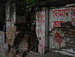 can-someone-kind-enough-to-post-pictures-of-kolkata-tree.jpg