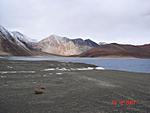 leh-in-december-confirmed-trip-pangong.jpg