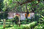 yoga-in-anjuna-yoga-studio.jpg
