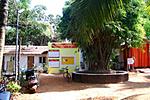 yoga-in-anjuna-brahamani-yoga-studio-office.jpg