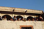 empowerment-of-women-and-more-sambhali-trust-class-walk-to-the-ruins.jpg