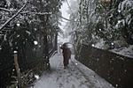 dharamsala-macloed-ganj-report-dsc_0095.jpg