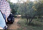 ranthambhore-report-29.jpg