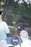 ranthambhore-report-30.jpg