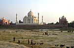 the-lesser-known-tajs-taj2.jpg