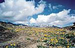 best-places-for-honeymoon-ct1.jpg