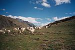 best-places-for-honeymoon-ct2.jpg