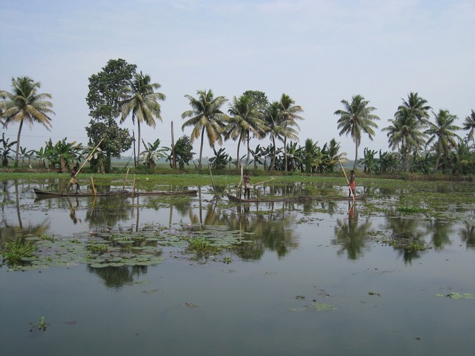 Name: India 091.jpg
Views: 1403
Size: 89.7 KB