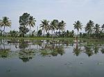 kerala-backawater-cruise-questions-india-091.jpg