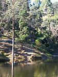 my-travelogue-on-lansdowne-100_1428.jpg