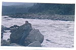 needed-travel-partner-for-kedarnath-badrinath-and-valley-of-flowers-in-last-of-june-rafting-with-friends-011.jpg