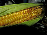 using-canon-powershot-s5-is-l.jpg