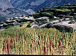 auli-visit-in-mid-june-information-please-ind8.jpg