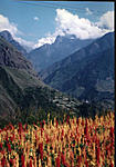 auli-visit-in-mid-june-information-please-ind10.jpg