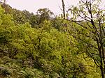 may-trip-to-munsiyari-munsiyari-127.jpg