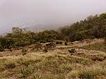 may-trip-to-munsiyari-munsiyari-203.jpg