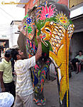 landscape-photographer-seeks-advice-about-photographing-faces-elephant_paint22.jpg