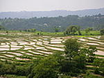kangra-valley-railway-dscn3212.jpg