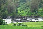 mumbai-nasik-vaitarna-river-1-.jpg.JPG
Views:	2
Size:	77.3 KB
ID:	8070