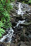mumbai-nasik-waterfalls-1-.jpg.JPG
Views:	2
Size:	69.8 KB
ID:	8071