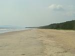 houseboats-in-northern-kerala-chal-beach_view1.jpg