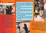 performing-monkeys-suffer-visitors-to-india-please-do-not-encourage-bear-1a.jpg