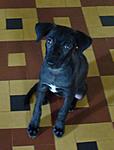 My fosters-keera.jpg