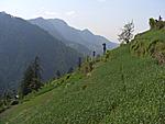 khadrala-khanag-shoja-sojourn-shoja1.jpg