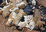 lost-lives-lost-lives.jpg
