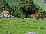 the-solo-trek-of-a-lifetime-060720081634.jpg