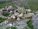 the-solo-trek-of-a-lifetime-060720081659.jpg