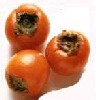 persimmon.jpeg