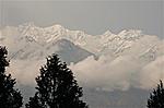 Munsyari Trip-indiamike-medium-.jpg
