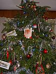 christmas-tree-in-pune-tree2.jpg