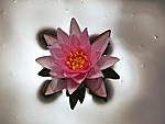 best-wishes-dscn1007.jpg