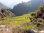 a-wonderful-trip-to-auli-dsc00160.jpg