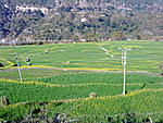a-wonderful-trip-to-auli-dsc00249.jpg